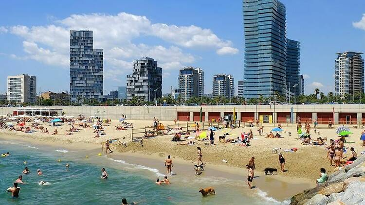 Estamos todos de acuerdo en que es mejor ir a la piscina que a la playa no?