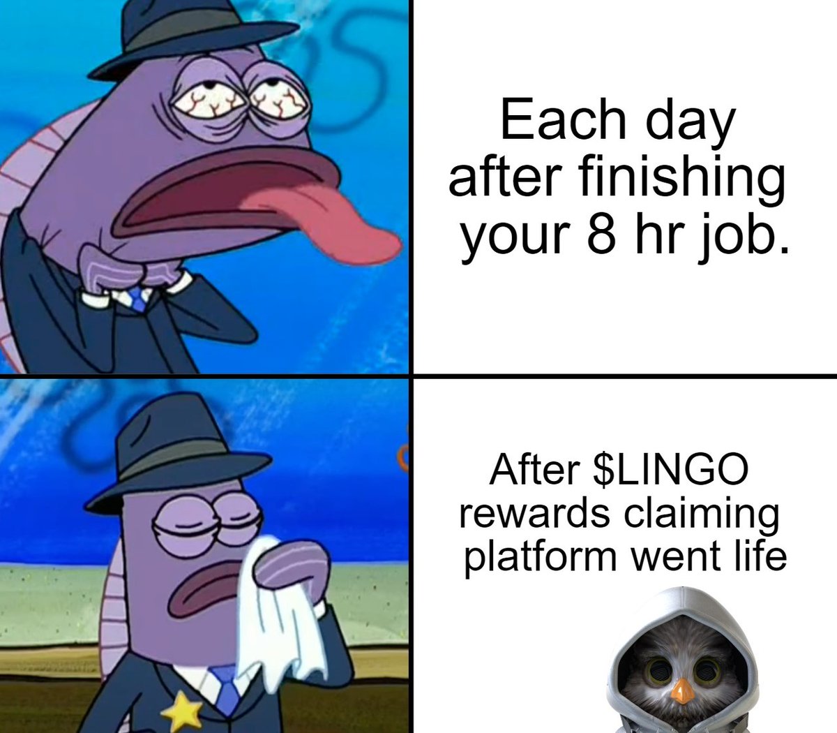 YTR-10 | LINGO tweet media