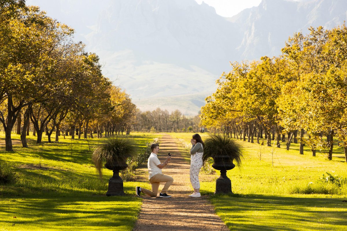 fwyellow's tweet image. The van Zyl’s - COMING SOON! 🥹💍