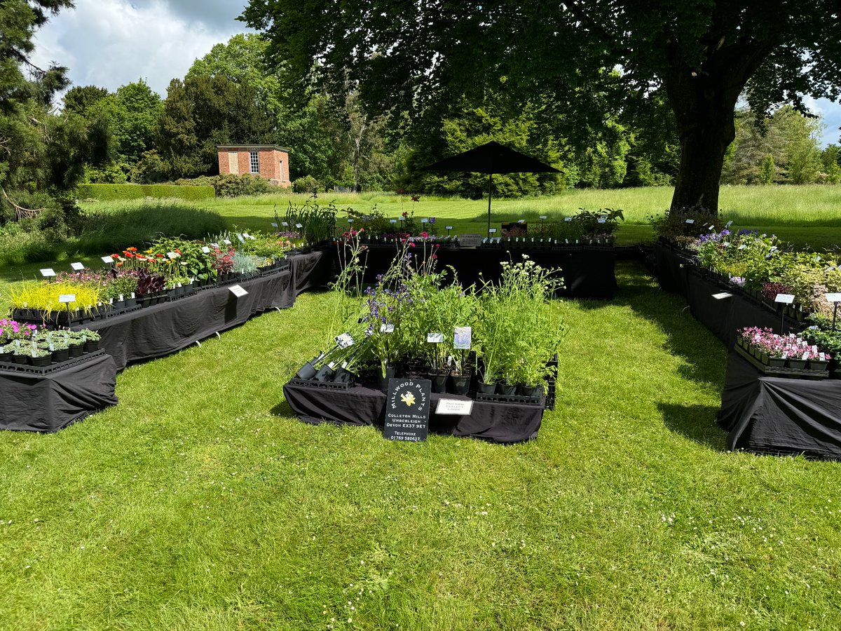 All set up for <a href="/RarePlantFair/">Rare Plant Fair</a> at Kingston Bagpuize House. Open till 4pm. Lovely sunny day!