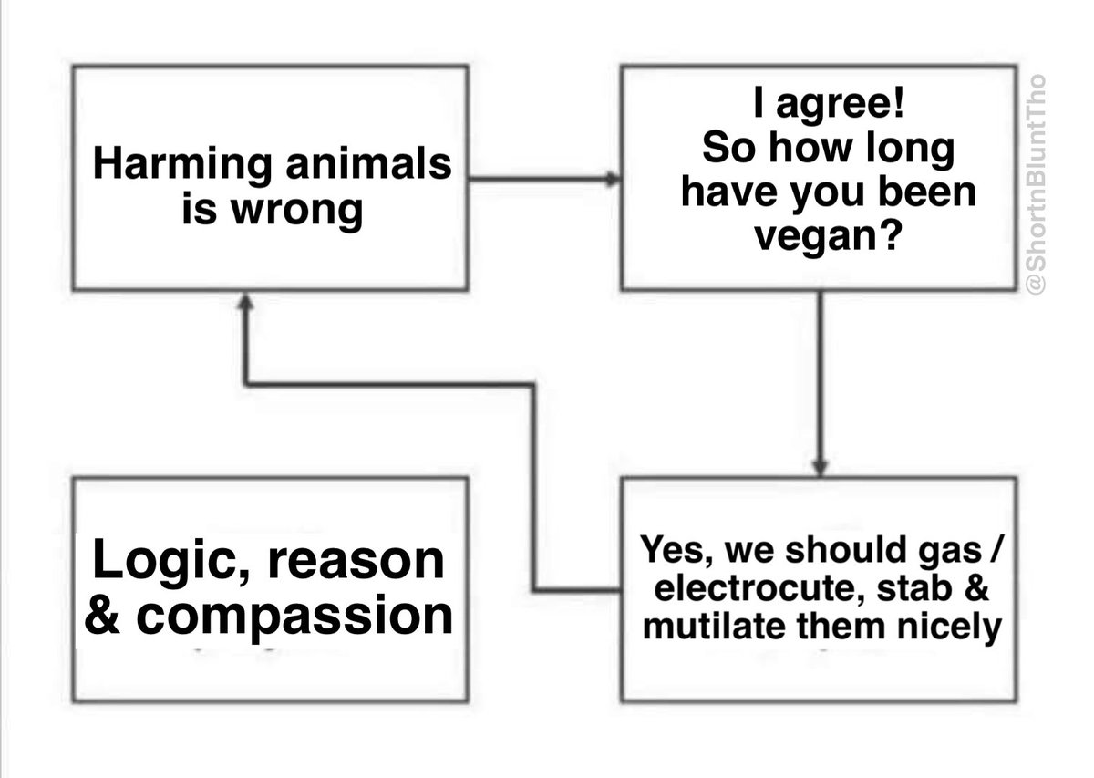 Animal loving animal eaters be like: