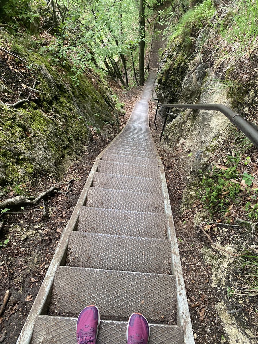 No Ann and Adam day trip is complete without a hike! I was skeptical about Lake Bled, but it’s 100% worth the trip. If you get the chance, climb the viewpoint trail too. Absolutely incredible - apart from the long section of stairs you’ll tackle on all fours 😅