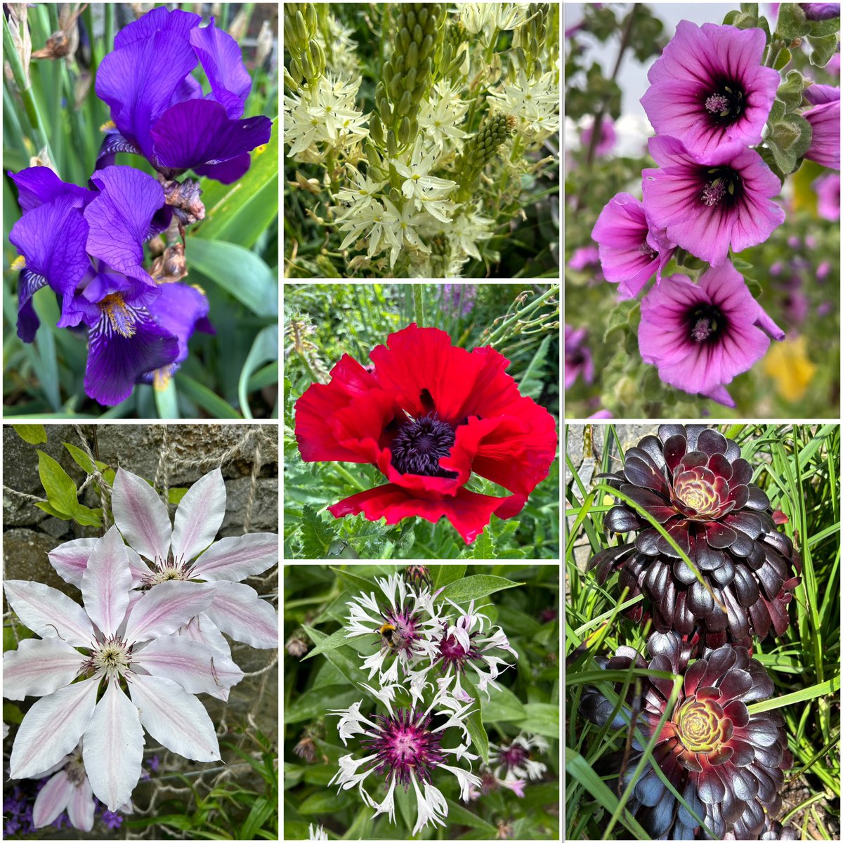 While I wait for the rain to stop, ever the optimist, some random pics from last week. Quite an eclectic mix for a rare #SevenOnSunday from me, enjoy the day the best you can everyone