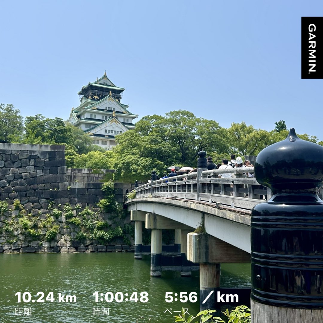 ぽちゃだった妻👩‍⚕️4/12芦屋さくらファンラン tweet media