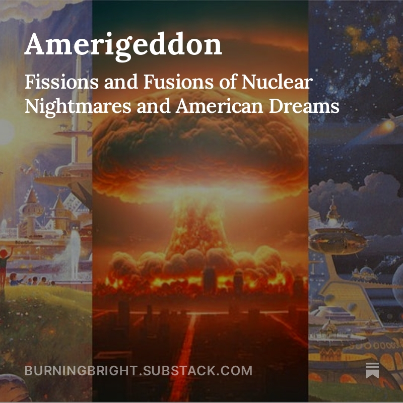 'This is what they stole from you.' Amerigeddon is my attempt to fuse Narratives with Actuals in order to separate signal from noise where it concerns our transition from generations of engineered nightmare into a much brighter future. They never thought She would lose, which