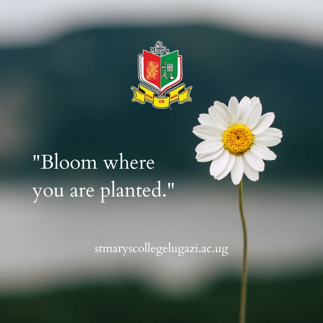'Bloom where you are planted.' 
Enroll students at St. Mary's College Lugazi. Call +256705601045 for more #StMarysCollegeLugazi #GratefulForEducation #Educationalforall #Empower #DreamsComeTrue #KnowledgeIsPower