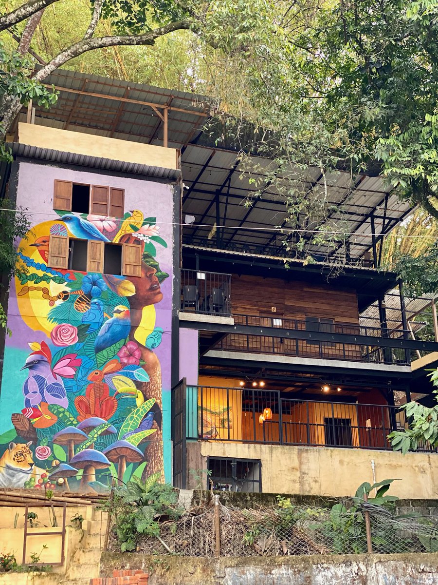 Coffee House Minca tweet media