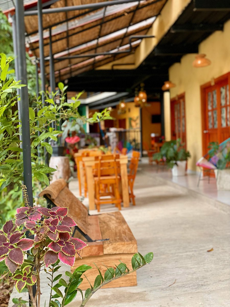 Coffee House Minca tweet media