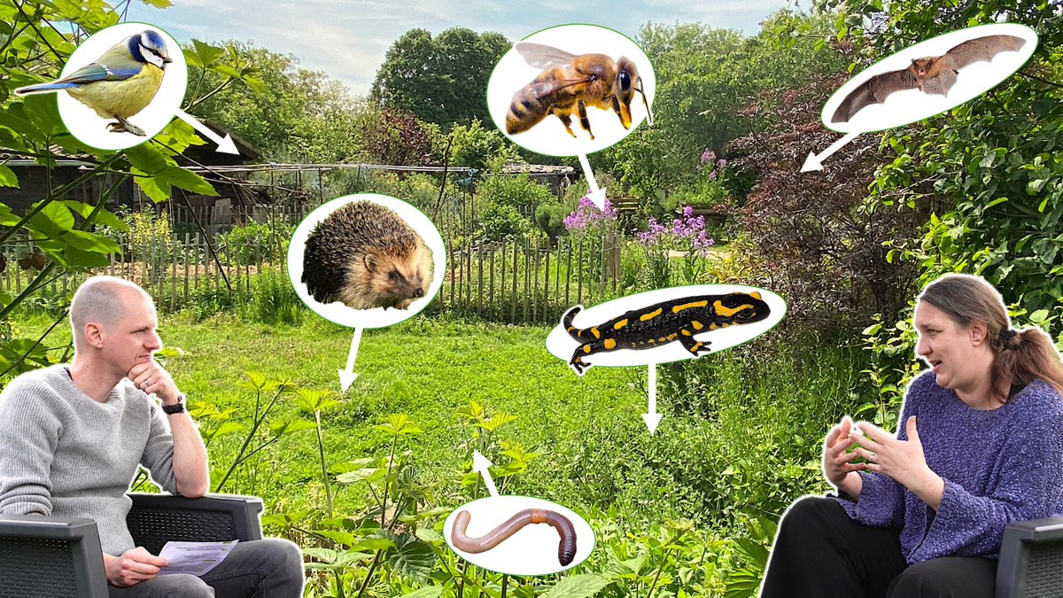 Elle crée un jardin plein de vie

Je suis parti à la rencontre d’une ingénieure agronome passionnée de jardinage depuis son enfance et qui nous partage ses trucs et astuces pour accueillir au jardin oiseaux, mammifères, amphibiens, insectes et vers.

youtu.be/cbHdg2hMJkA
