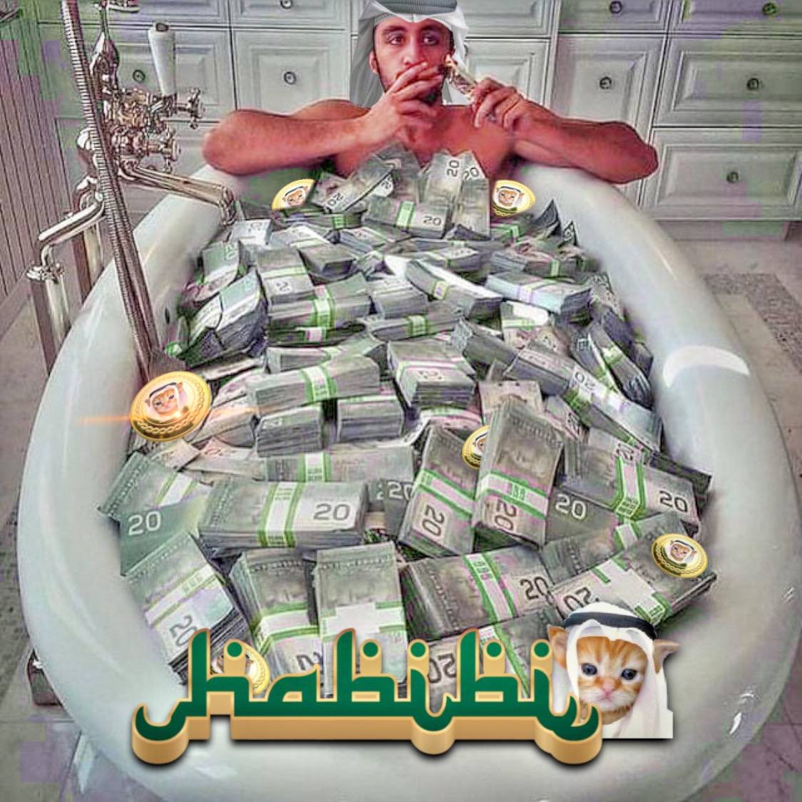 Habibi tweet media