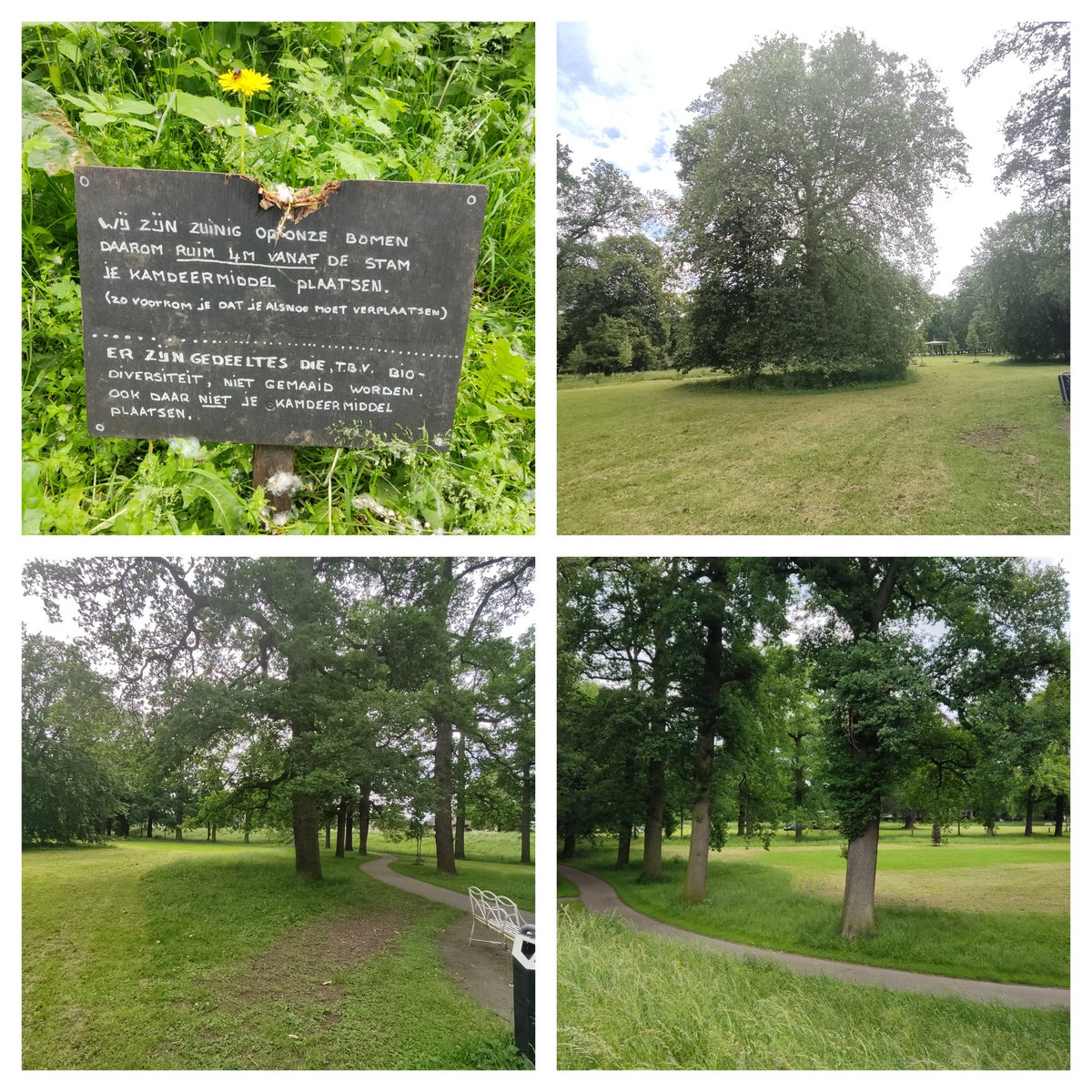 Lars van der Wal tweet media