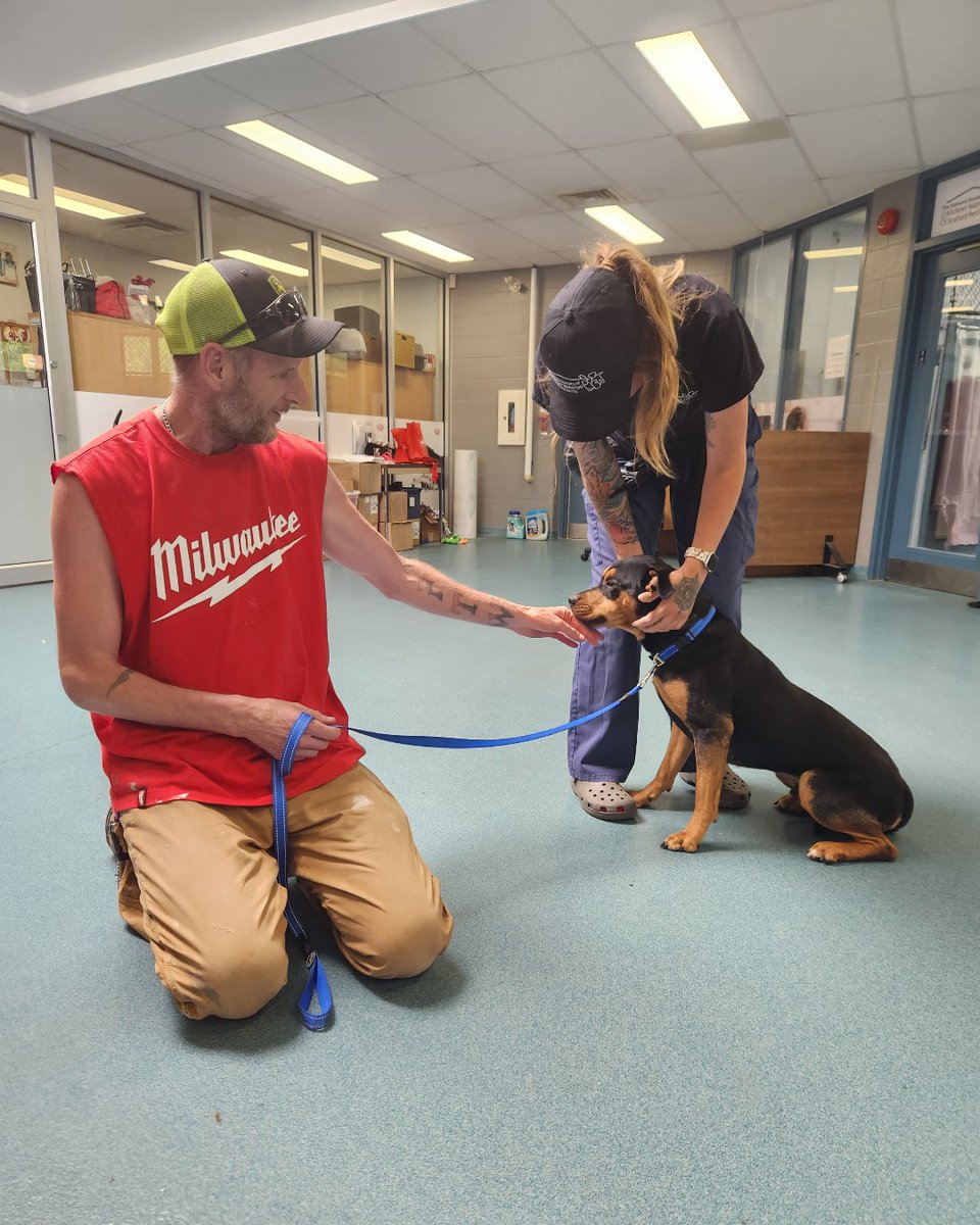 Just a couple pups heading to their forever homes. Congrats, Harley & Nelson and your new families! We have many loving animals waiting for their second chances. Please consider adopting today ❤️ kwsphumane.ca/adopt