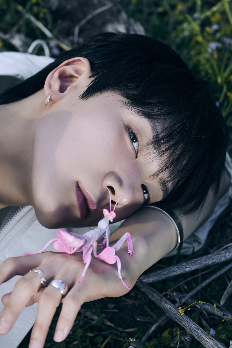 WayV tweet media