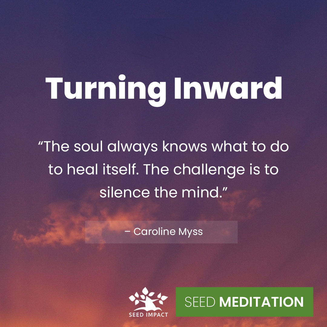 What do you need to silence your mind today?  

#seedimpact #inspirational #inspiration #motivation #inspirationalquotes #motivational #motivationalquotes #quotes #socialimpact