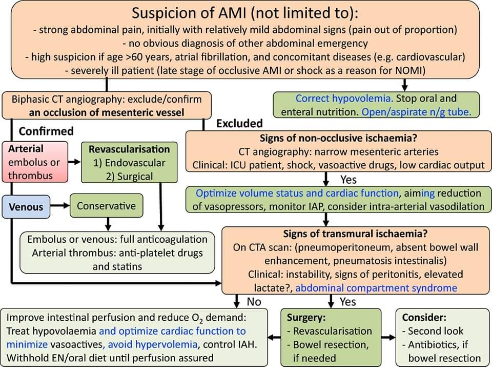 🔴Managing acute mesenteric ischaemia #openaccess #2024Review link.springer.com/article/10.100… #medtwitterWhat #MedTwitter #CardioEd #medx #medEd #CardioTwitter #cardiotwitter #MedX #MedEd #cardiology #cardiotwiteros #FOAMed #medicine #cardiox #medical #cardiovascular #medtwitter
