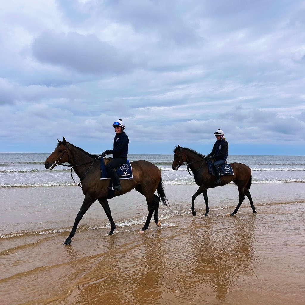 Pleasant Man and The Waiting Game enjoying an away day at Holkham Beach before their seasonal reappearances.
