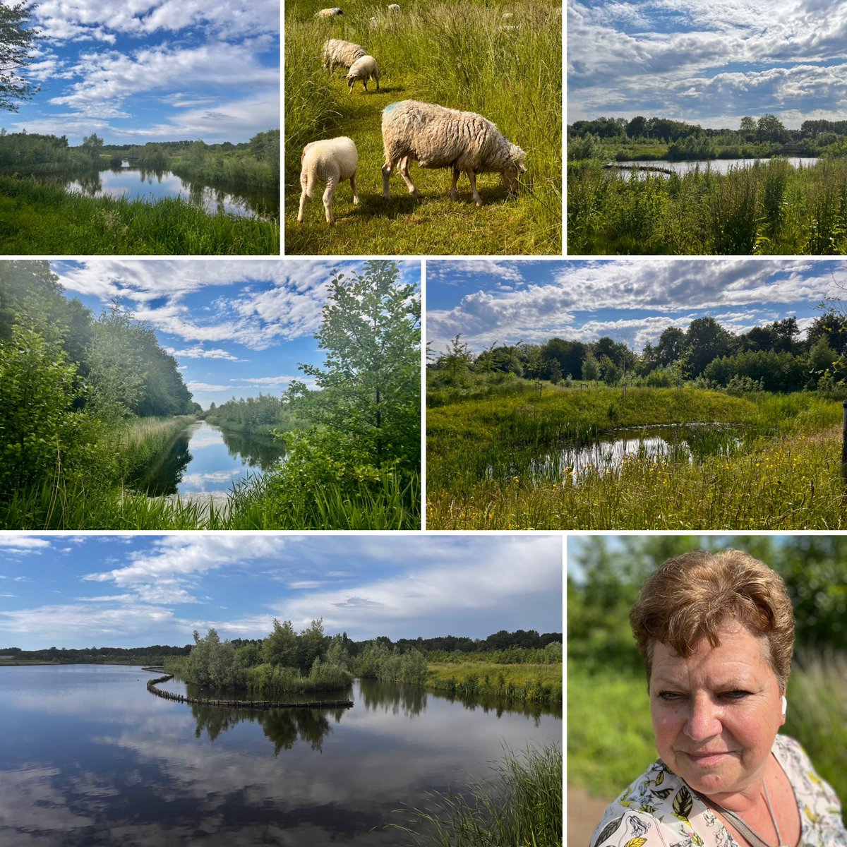 Wat blijft het een mooi stil rondje en dat nog geen 100 meter van mijn huis! 
Natuur Begraafplaats 
Geestmerloo ♥️ Alkmaar