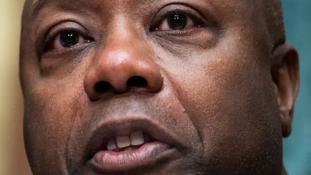 There’s nothing more pathetic than Tim Scott repeatedly debasing himself to placate the adjudicated rapist facing 88 felony counts.