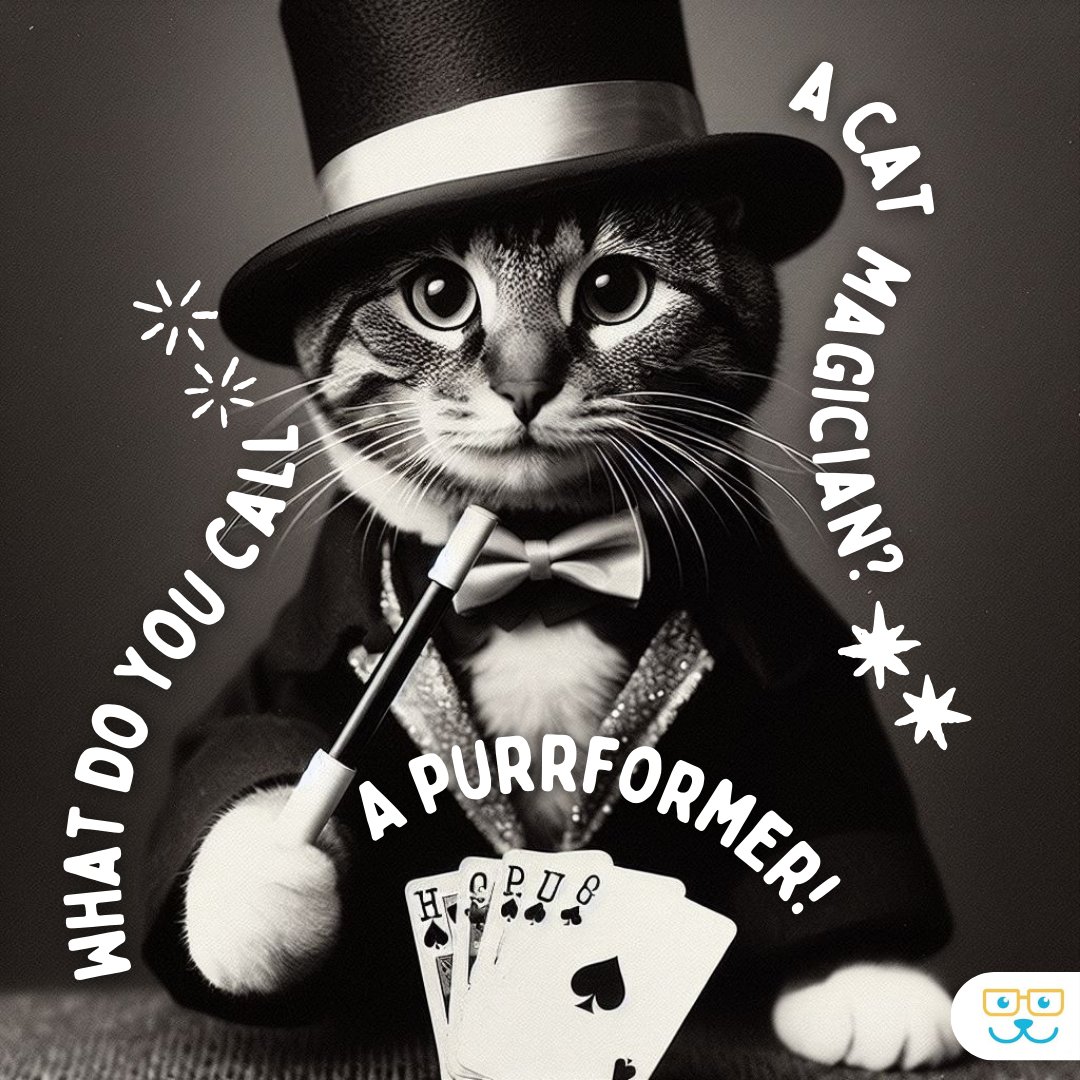 Pawsitively magical! ✨ Celebrate the enchanting talents of our feline friends with us! #vieravet #catfun #purrs