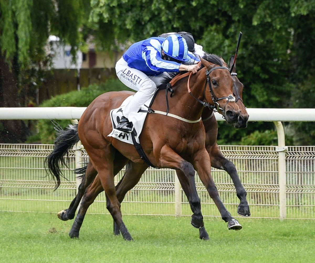 💥💥 Nice updates for Mighty 2y old 🔵 Unbeaten 🤩 HOT DARLING 💃 ⁦@almracing⁩ ❤️ ⁦@lemosdesouza1⁩ Daughter of 🔥 Too Darn Hot 🤩 Two Classic winners in a day 🇩🇪 & 🇮🇪 🏆🥂🍾 Well Done to team ⁦@karl_burke⁩ 👏