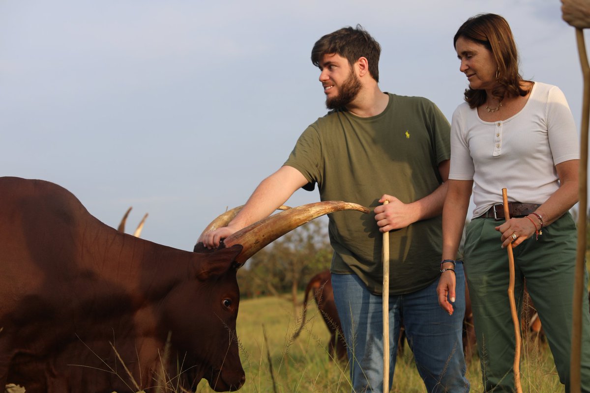 emburara's tweet image. Escape to your personal haven of sophistication and comfort. Experience the epitome of relaxation with the beautiful rooms at the Farm Lodge 
#Lifeonthefarm #EmburaraFarmLodge #AuthenticExperience