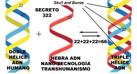 Genética, ADN y anticristo. Recordemos que la gran batalla es en los corazones, por la captura de nuestra mente. Los seres humanos tenemos doble hélice en nuestro ADN. Durante los últimos 10 años nos han ido introduciendo oxido de grafeno, polvo inteligente, Black goo, o