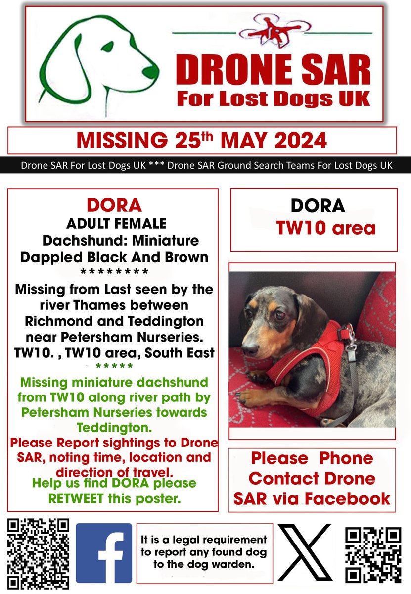 #LostDog #Alert DORA Female Dachshund: Miniature Dappled Black And Brown (Age: Adult) Missing from Last seen by the river Thames between Richmond and Teddington near Petersham Nurseries. TW10. , TW10 area, South East on Saturday, 25th May 2024 #DroneSAR #MissingDog