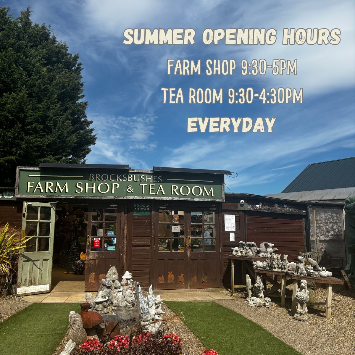 brocksbushes's tweet photo. ☀️ Summer opening hours ☀️ 

Monday - Saturday remains the same, but we are now open until 5pm in the Farm Shop and 4:30pm in the Tea Room on Sundays too 👏 

Last orders in the Tea Room must be placed 30 minutes before closing. 

#Brocksbushes #FarmShop #ShopLocal https://t.co/PCpEHm66HQ