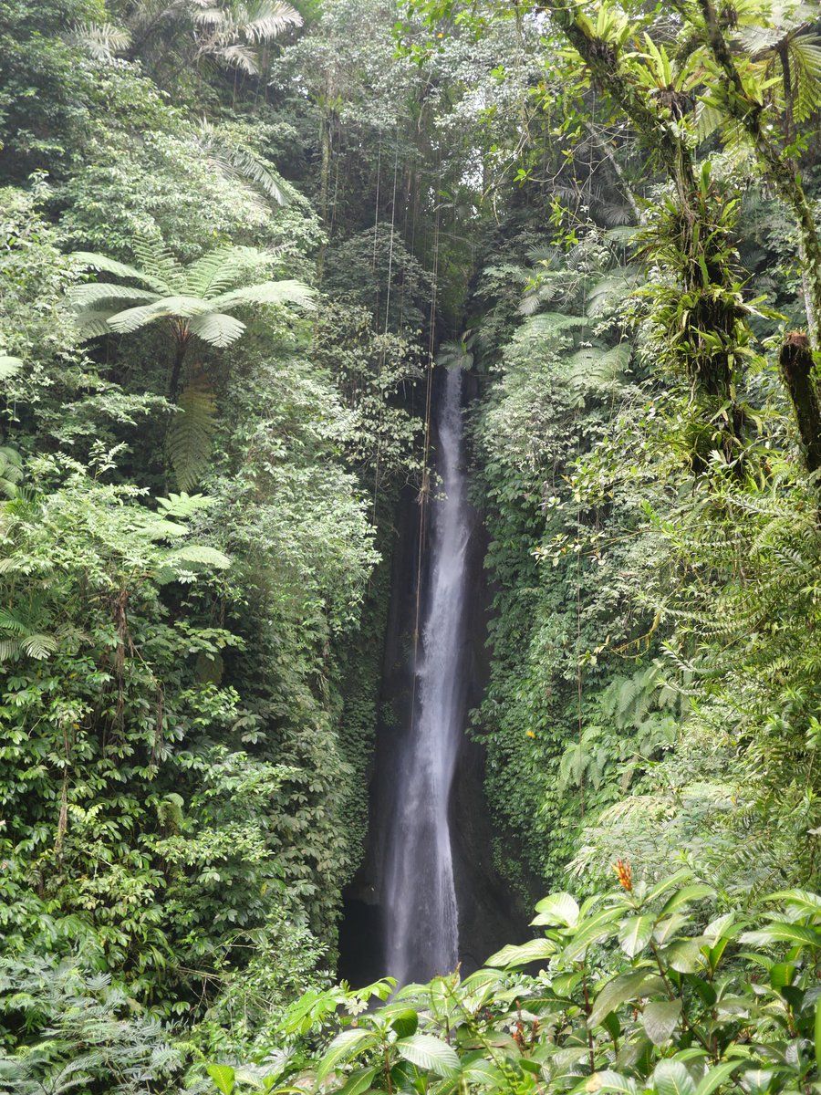 GuideRestos's tweet image. Cascade de Leke Leke, une jolie balade  balinaise