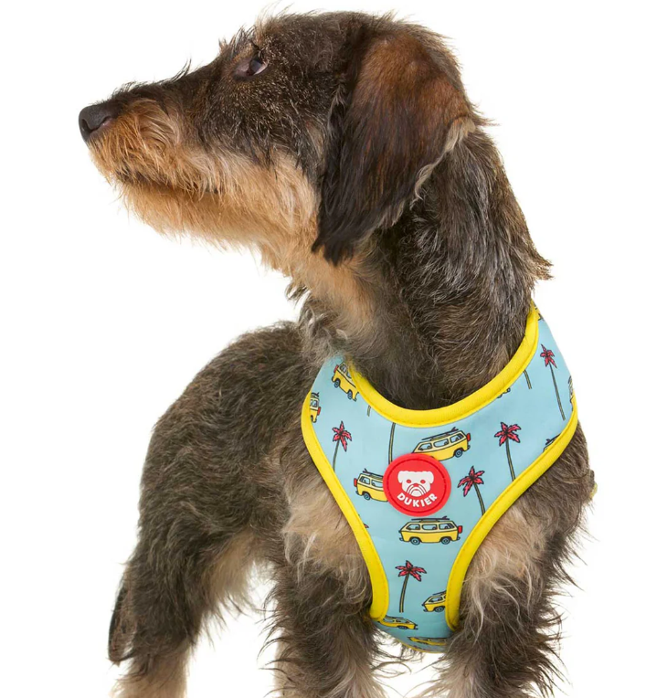 PromptPet's tweet photo. 😎¡La temporada de verano ya se deja ver!🌴Mira los nuevos arneses y correas en https://t.co/gZNTwxEiSX #arnes #correas #perros #pasesosconperros #costadelsol #malaga #mascotas https://t.co/Z4jGcdyjPl