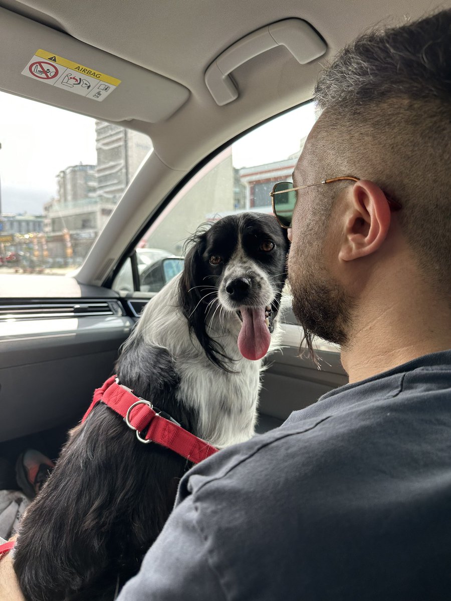 Babilisinin kızı yani bne