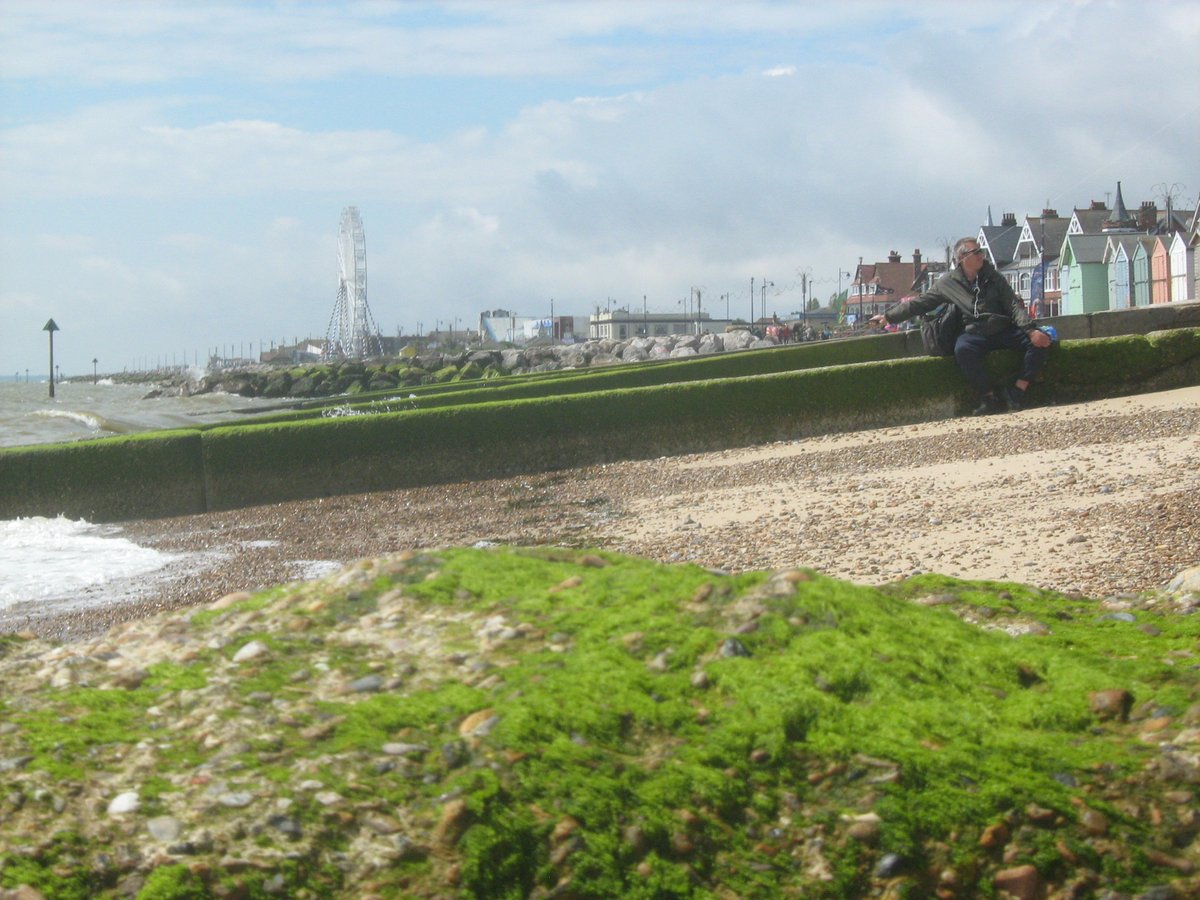 jonnyald's tweet image. down at Felixstowe beach #icecream #onpier #kiteflyer #seaweed #tideline #shingle #beach #lifesgreat #suffolk #coast