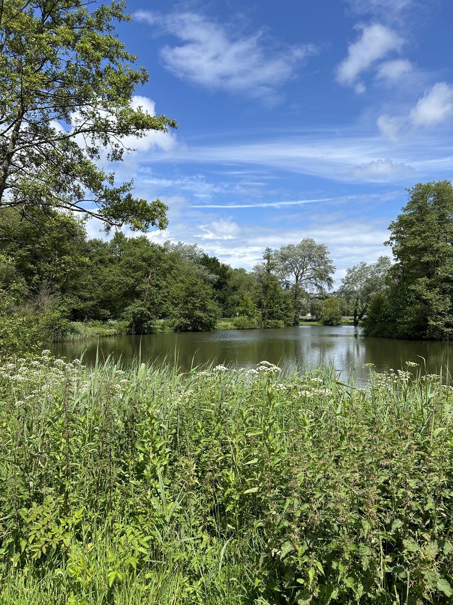 Cheryl Burman has finally finished that next novel tweet media