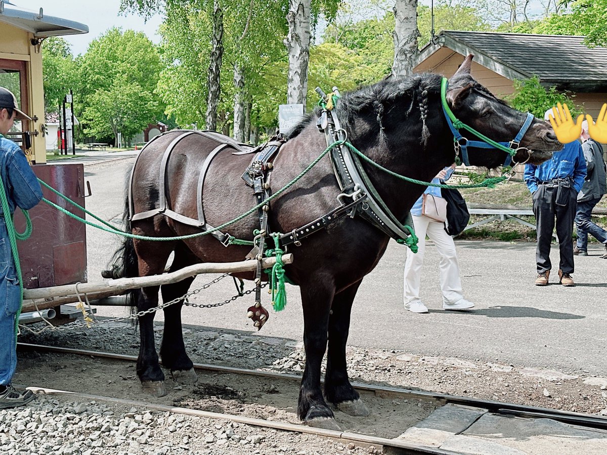 今日はウン10年ぶりに開拓の村に行き！馬車にも乗り！天気にも恵まれ羽蟻がすごく、開村ダッシュしたらスペイン村より人がいませんでした