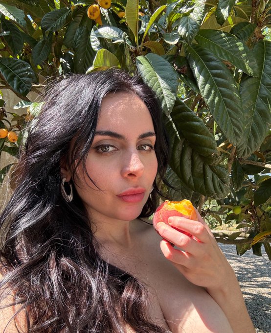 🍑✨ https://t.co/it8nwqP98C