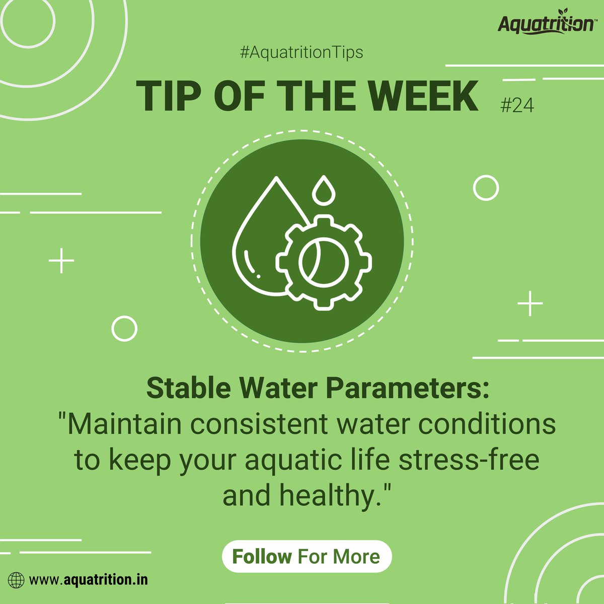 Aquatrition's #tipoftheweek! Elevate your planted aquarium journey with our expertly curated tips. Stay tuned every week! Follow for more, and don't forget to spread the knowledge with fellow aquatic enthusiast.

#protipfriday #usefultips #learnsomethingnew #funfactfriday