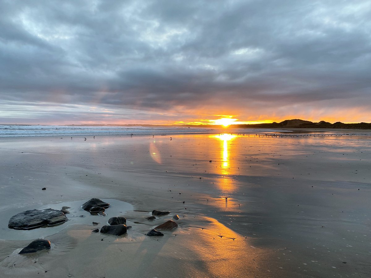 The largest dune on Fraserburgh beach is called Tiger Hill. 

It’s said that four fighting tigers were used to ward off Viking invaders in the past, and that the animals were then buried where the dune is now.

#FolkloreSunday #Scotland