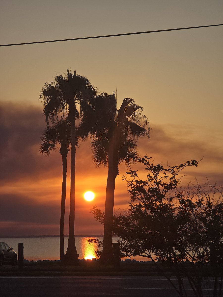 SpaceCoastSkies's tweet photo. A beautiful Sunday is on tap. Blessed be! #sunrise #flwx #SpaceCoastSkies #StormHour #neonsun https://t.co/Qem4qqDPXi