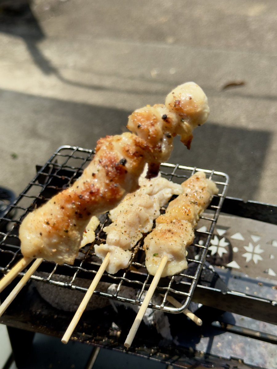 AtsumiN0901's tweet photo. 今日も @natsuqueencamp さんの #nomelt  で焼き鳥(*･∀-)b

ロゴスのエコココロゴス(ミニ)が2つ丁度入る❗
ケチって１つしか使わなかったけどねｗ

#キャンプ 
#キャンプ好きな人と繋がりたい 
#キャンプギア https://t.co/gKV6r5ATDg