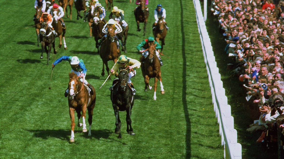 In 1979 Dick Hern-trained Troy (Willie Carson) won the Derby by 7L a margin not bettered since Manna's 8L victory in 1925. Troy became the 4th horse to complete the treble of Derby, Irish Derby & King George; following footsteps of Nijinsky, Grundy & The Minstrel🏇#RacingMemories