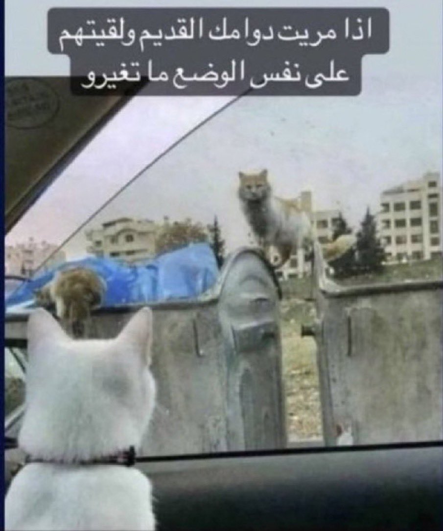 gruutii's tweet image. 