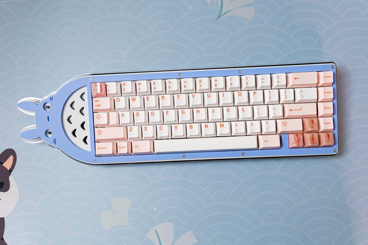 xinxinwong's tweet image. Totoro keyboard 💙🌱