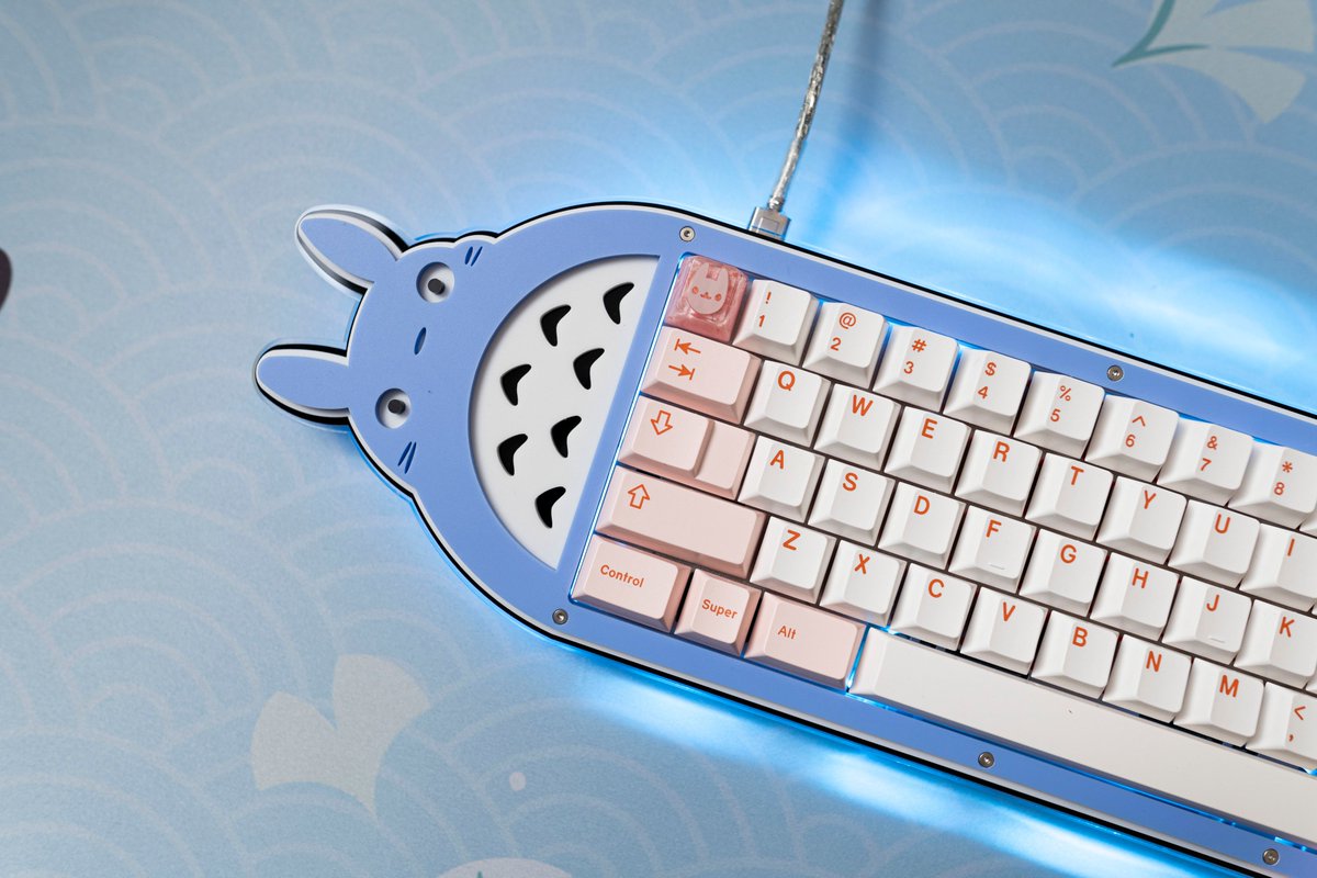 xinxinwong's tweet image. Totoro keyboard 💙🌱