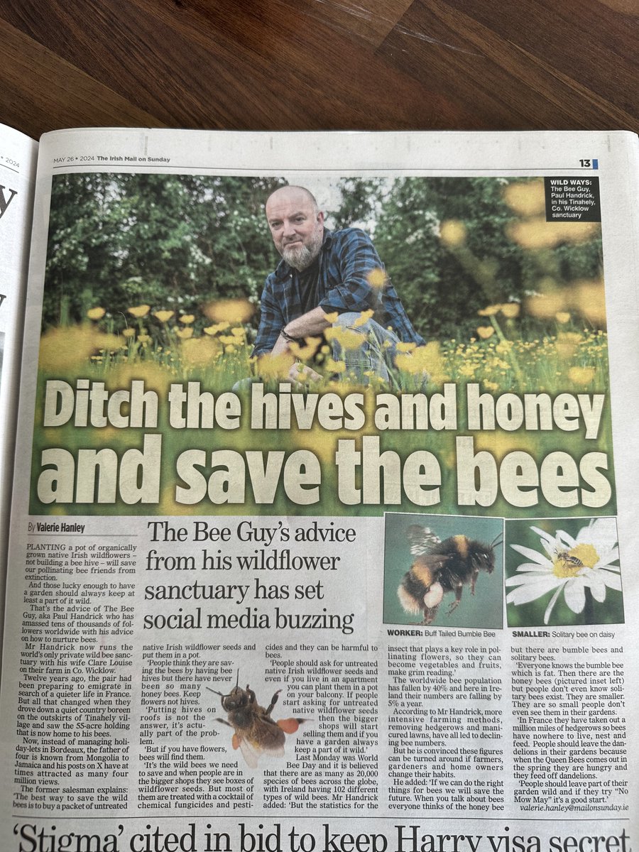 A good piece on bees by the <a href="/the_beeguy/">The Bee Guy</a> today, real native wild Irish Wildflowers seeds is what you want