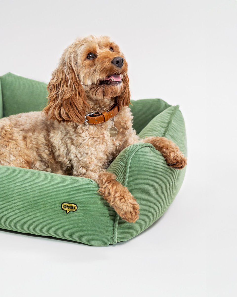 Omlet UK tweet media