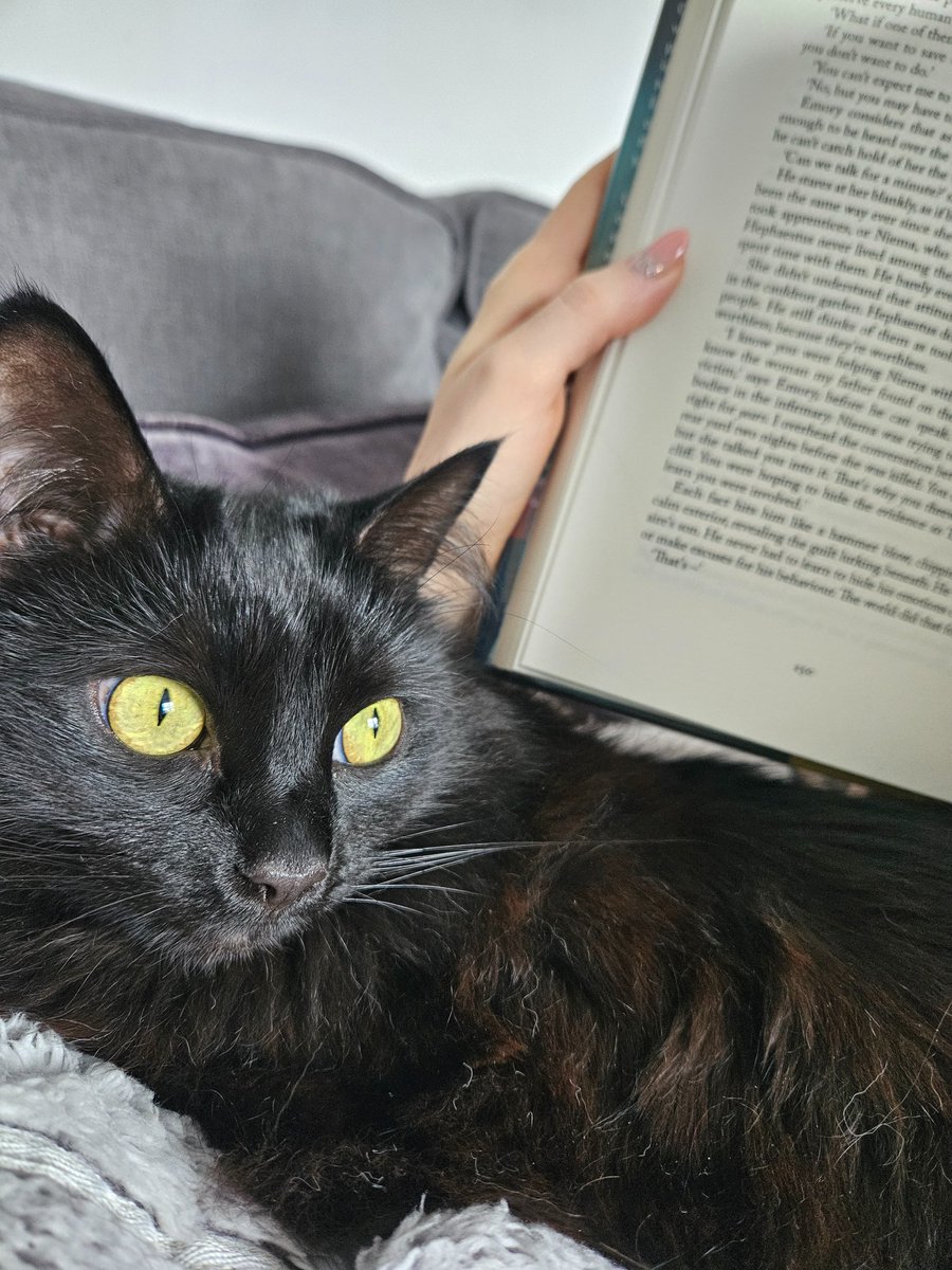 Purrfect Sunday