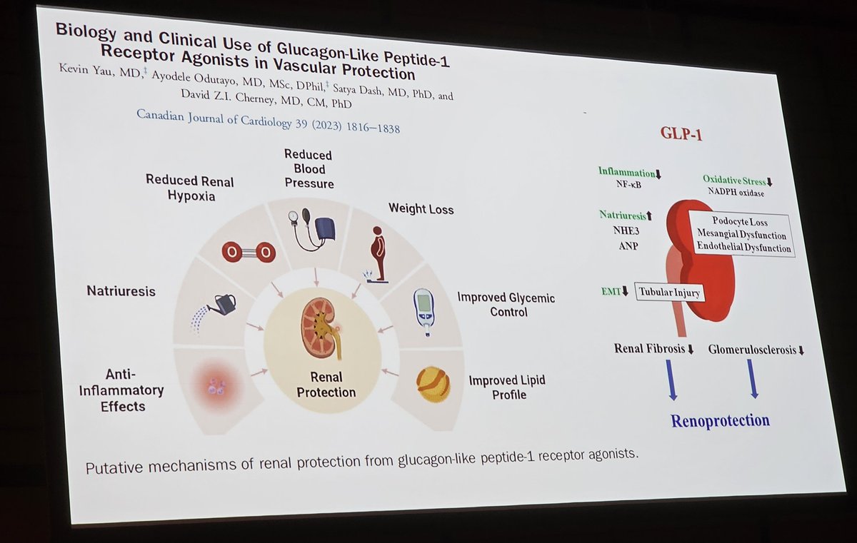 #EASCongress2024  #CardioTwitter #MedTwitter #Cardiology #CardioEd what are the Putative mechanism of renal protection attributed to GLP1 agonists? Whatever they are, #Flow just published has confirmed the ⬇️ in kidney endpts & MACE3 & all cause ☠️ w/semaglutide in DM+albuminuria