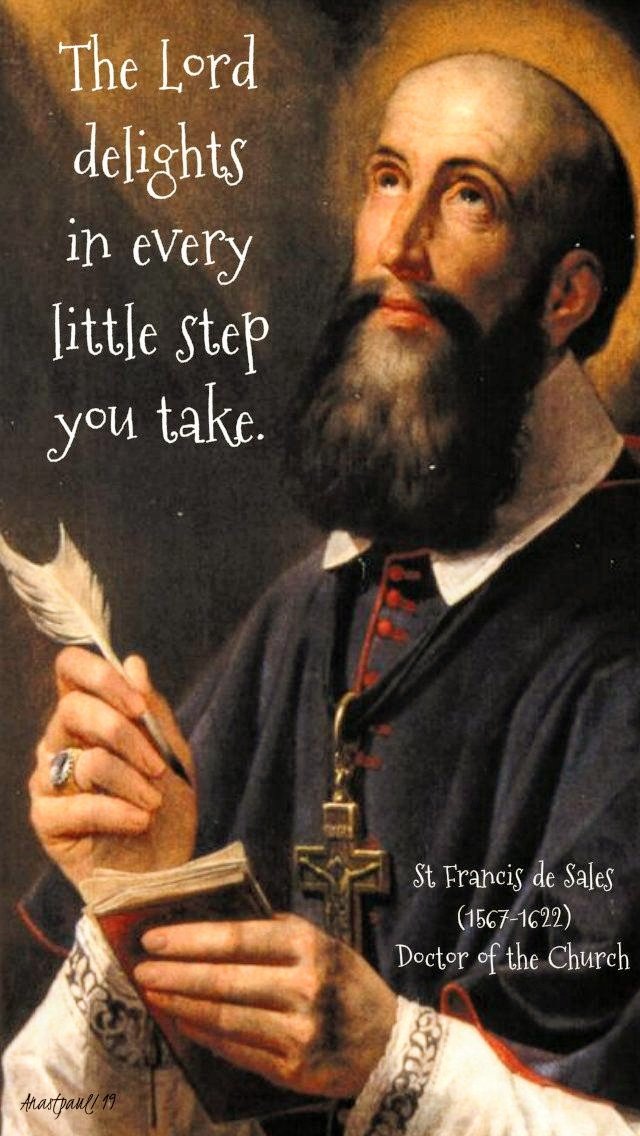 The Lord delights in every little step you take. - St. Francis de Sales