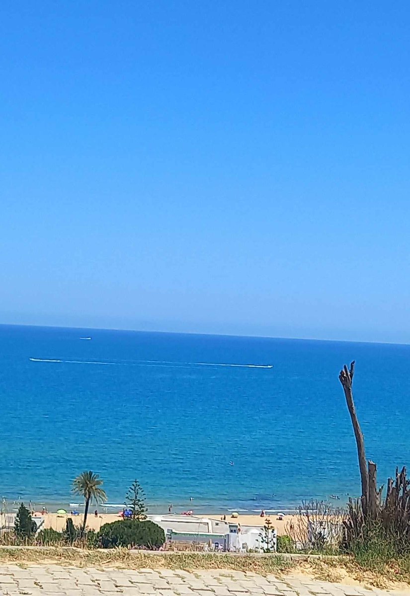 Gbaghazi's tweet image. #Marsa #Tunisie