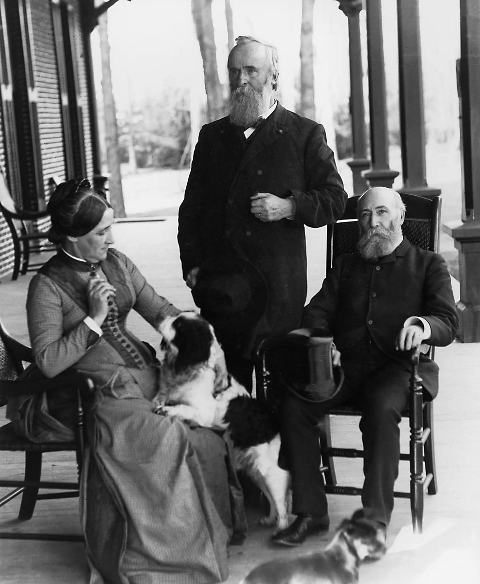 Rutherford and Lucy Hayes 🇺🇸 brought six dogs with them to the White House - including “Duke”, an English Mastiff (seen here)

#POTUS 🐶 
@rbhayespres @WKCDOGS @akcdoglovers